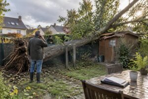 un arbre du voisin tombe sur votre abri de jardin ? découvrez qui doit vous indemniser, quelle assurance contacter et les délais à respecter.