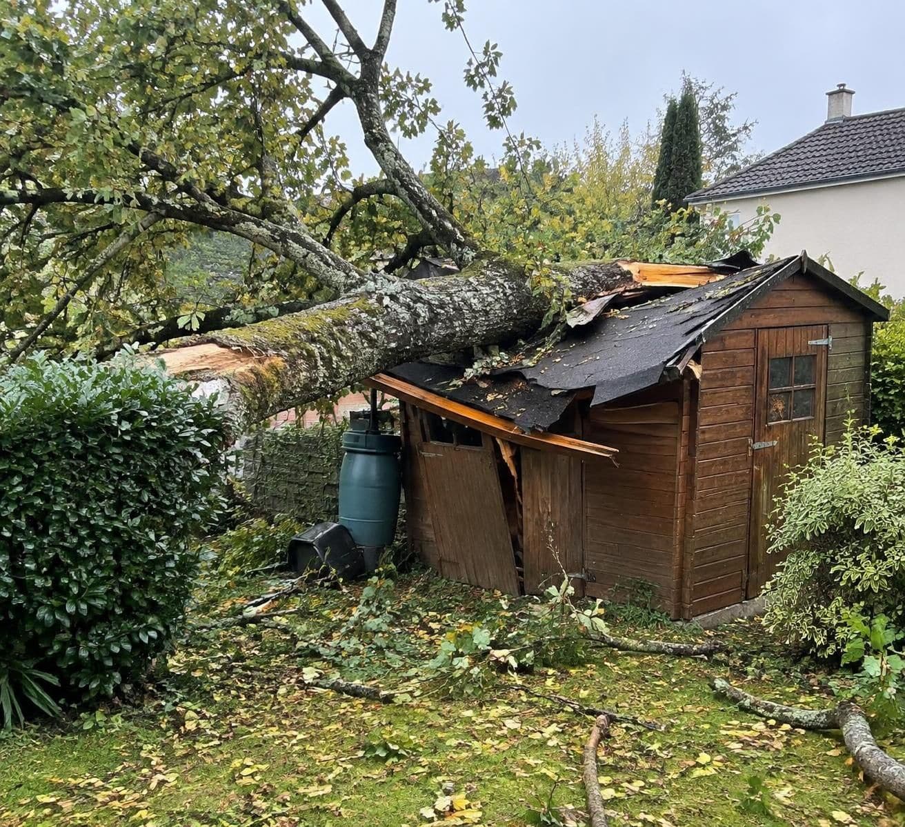 un arbre du voisin endommage votre abri de jardin ? découvrez quelle assurance peut vous indemniser, les démarches à effectuer et les délais à respecter.